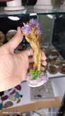 مجسمه های آمیتیست