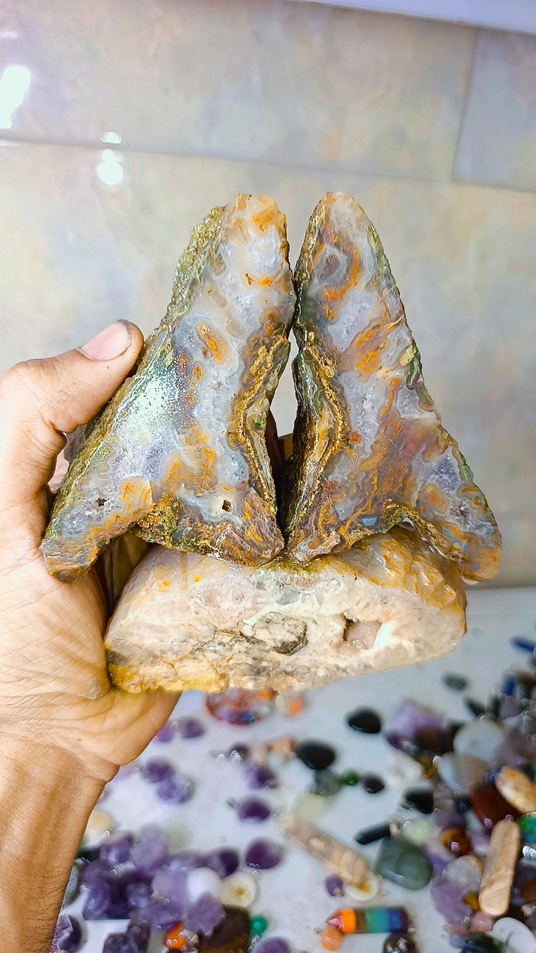 شجر دکوری